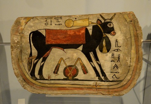 ahencyclopedia:PETS IN ANCIENT EGYPT: THE ancient Egyptians...