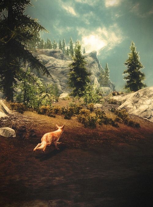 The Elder Scrolls: Skyrim