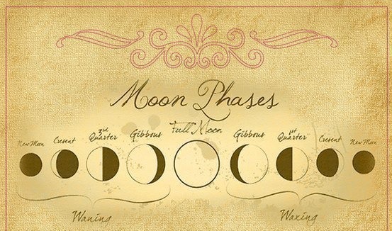 The Sacred Path 🦋 — Magick by Moon Phase🌙 New Moon: Cleansing and...