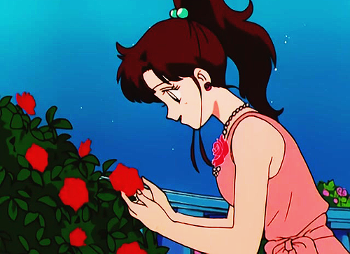 sailormoonsub:Sailor Jupiter, give my the serenity to accept the...