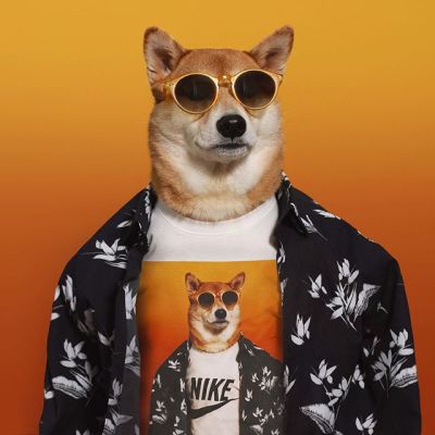 nike shiba tee