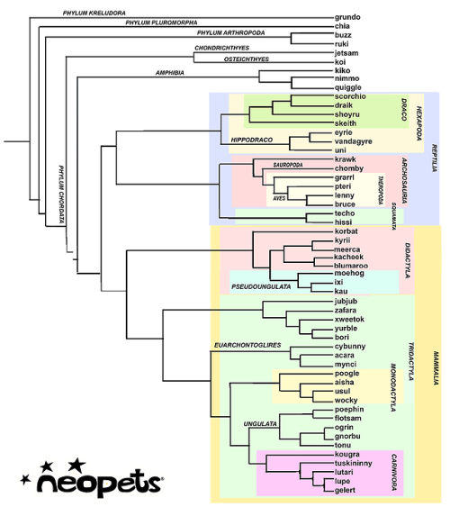 despazito:my full neopets cladogram with some highlighted...