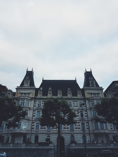 theswisschubbyvegangoesfit:Morning Run + Breakfast 4km run in 35 minutes ! I woke up around 5:45...