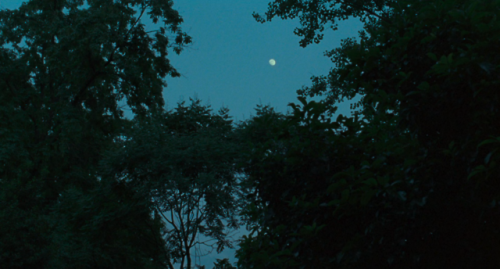 radfilmstills:Call Me by Your Name (2017) Dir. Luca...