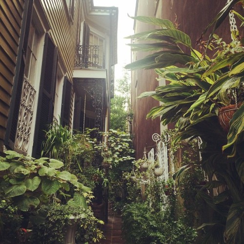 instagram:Local Lens: Touring the History of New Orleans...