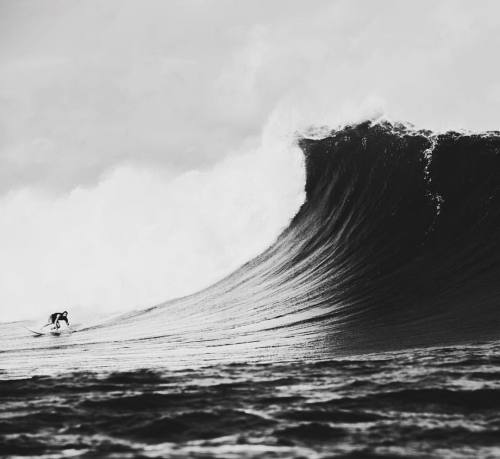 russosdiary:“No one listens to turtle.” @deepwatersurf doing...