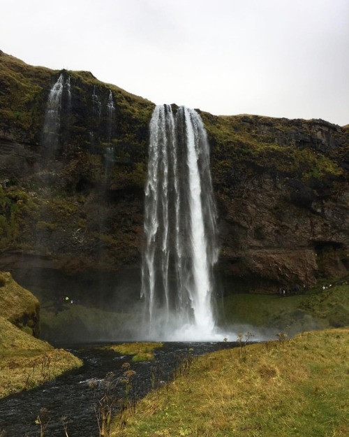 Breathtaking. (at Seljalandsfoss)