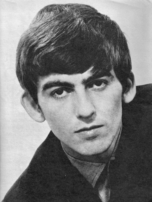 grotty-beatles:reblog for george harrison eyebrow