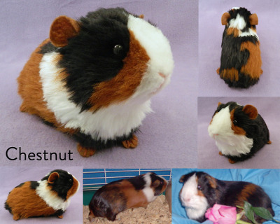 custom guinea pig plush