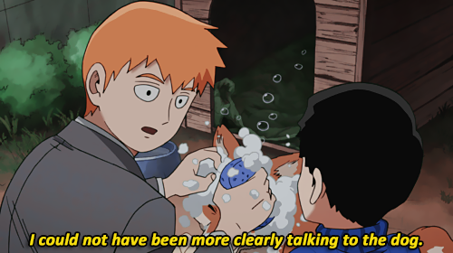 beif0ngs:please get Reigen a dog