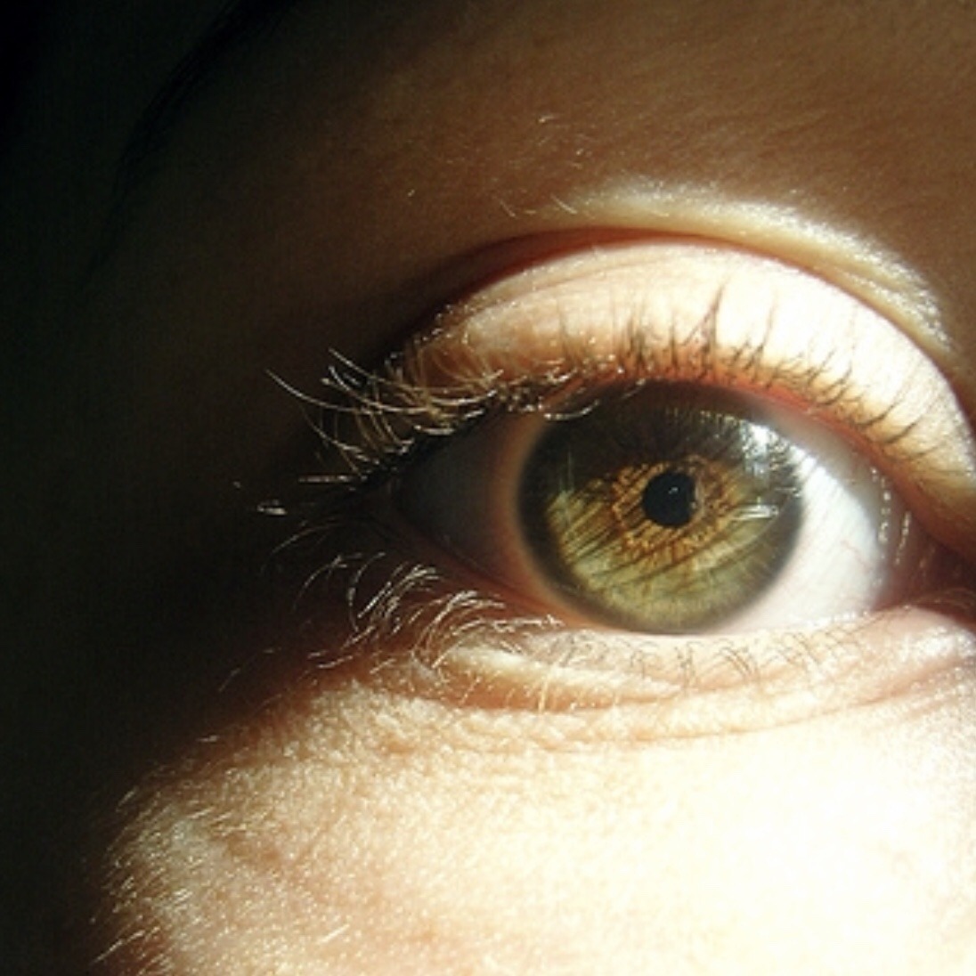 eyelashes on Tumblr