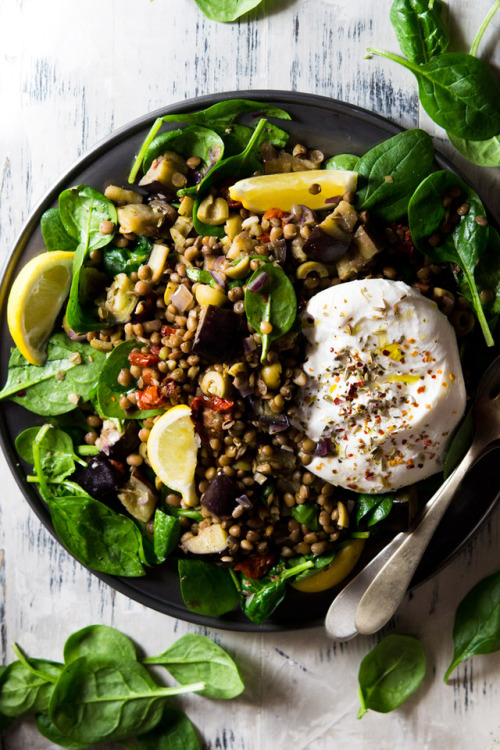 submission salt lentil salad eggplant burrata insidetherustickitchen