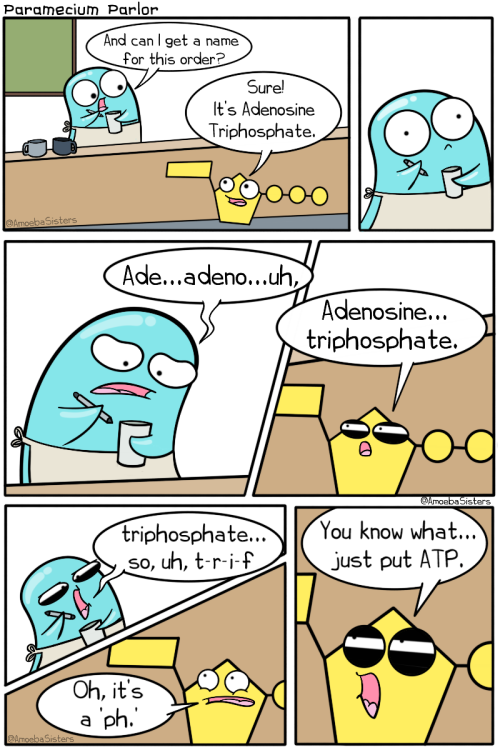 amoebasisters