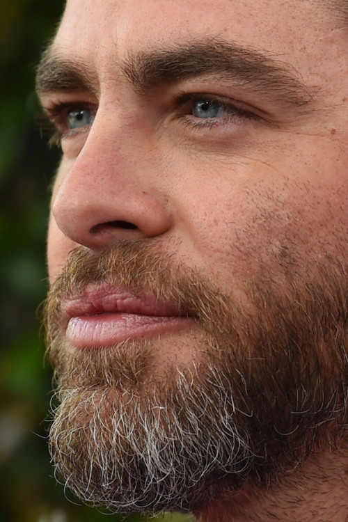 Bearded Celebrities Tumblr