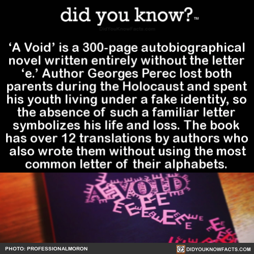 a-void-is-a-300-page-autobiographical-novel