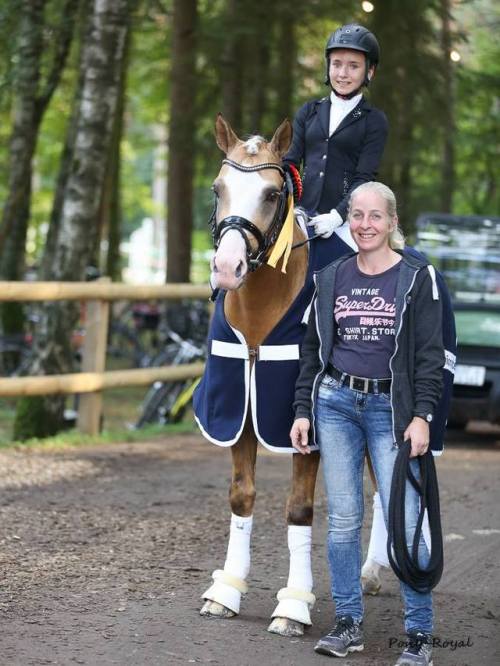 german-riding-pony-a-day:Diamond Touch