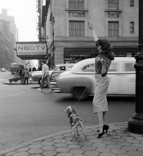 n-o-i-r-w-h-i-t-e:Woman hailing a cab in New York City,...