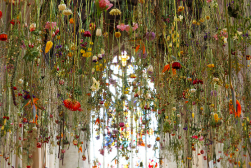 Always bring flowers, Rebecca Louise Law