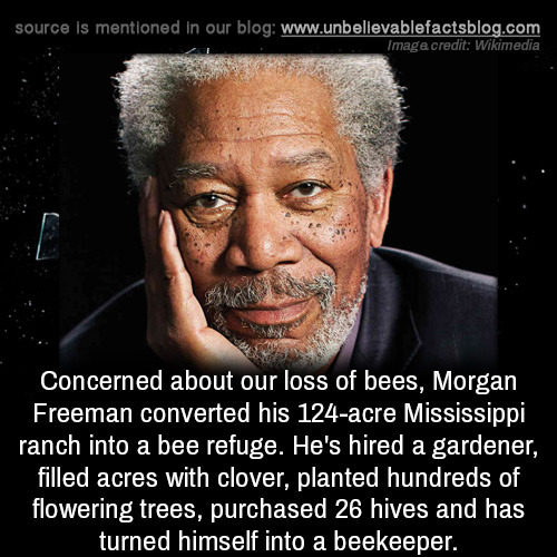 Next photo of Morgan Freeman