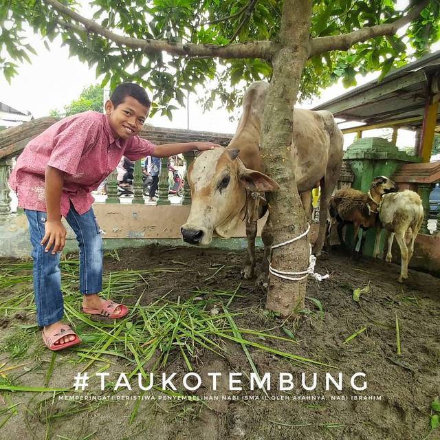 TauKoTembung.com — Idul Adha 2017 / 1438 H, Selamat Hari ...