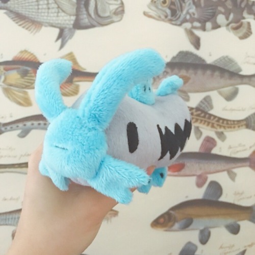 barboach plush