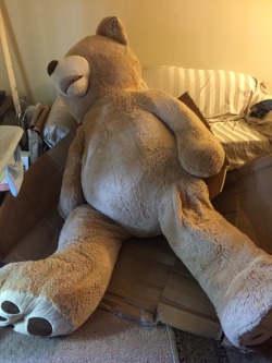 costco teddy bear 93 inch