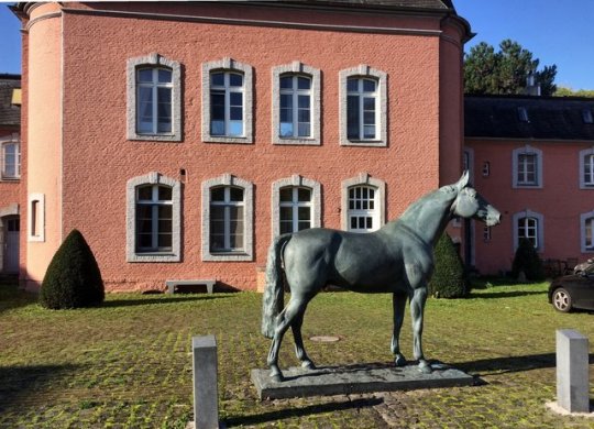 Achtung Pferd: Im Ostflügel sind die Stallungen untergebracht.