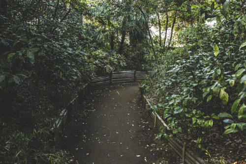 alexwilliammilsom:Rikugien Gardens - Tokyo, Japan Alex...