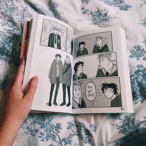 chronicintrovert:here in my hands is HEARTSTOPPER: VOLUME ONE,...