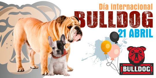 Quizá uno de los perros mas tiernos y codiciado como mascota, se ha ganado que se celebre todo un día para el, así que...