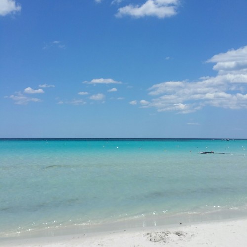 “La cinta” a San Teodoro.