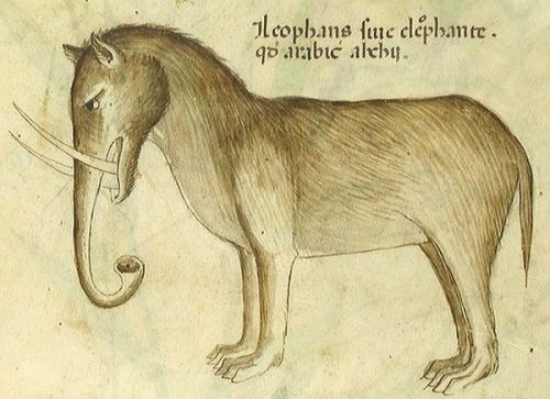 andrusmagnus:Elephant DrawingItalianCirca 1440