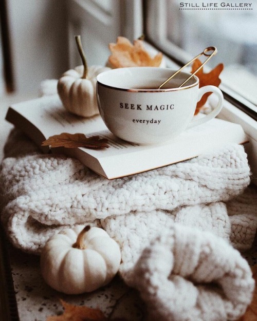 witchyautumns:still_life_gallery ★ instagram