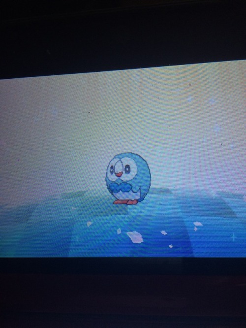 Pokemon shiny Pokemon rowlet shiny rowlet gen7