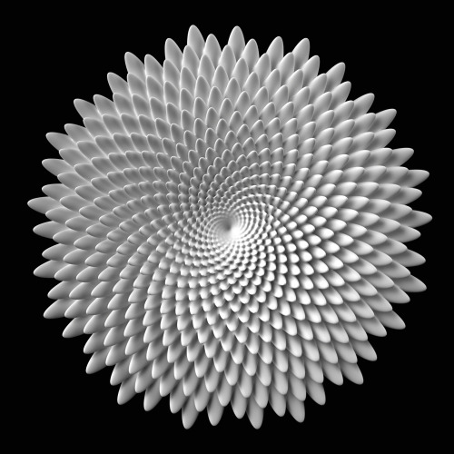 phyllotaxis on Tumblr