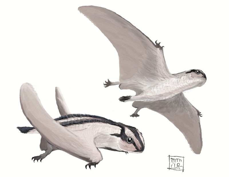 bat pterosaur