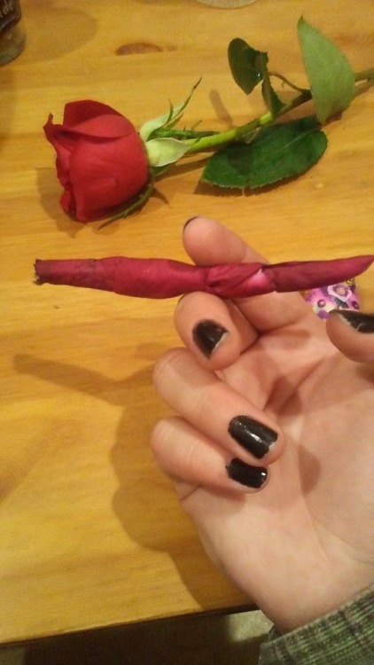 bath-witch:I rolled a rose petal and lavender joint today! It...