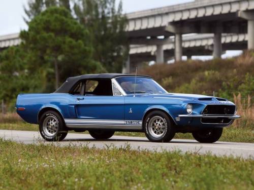 mustanglegendarymachine:1968 Shelby Cobra GT350...