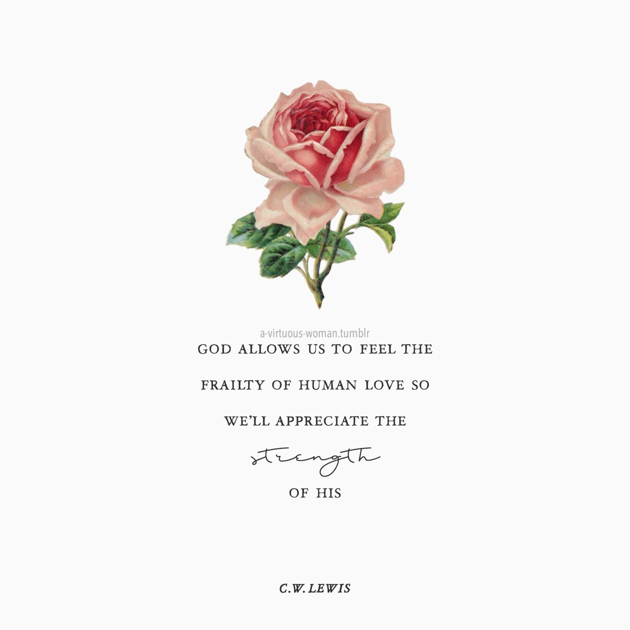 Roses Quotes Tumblr Roses Gallery