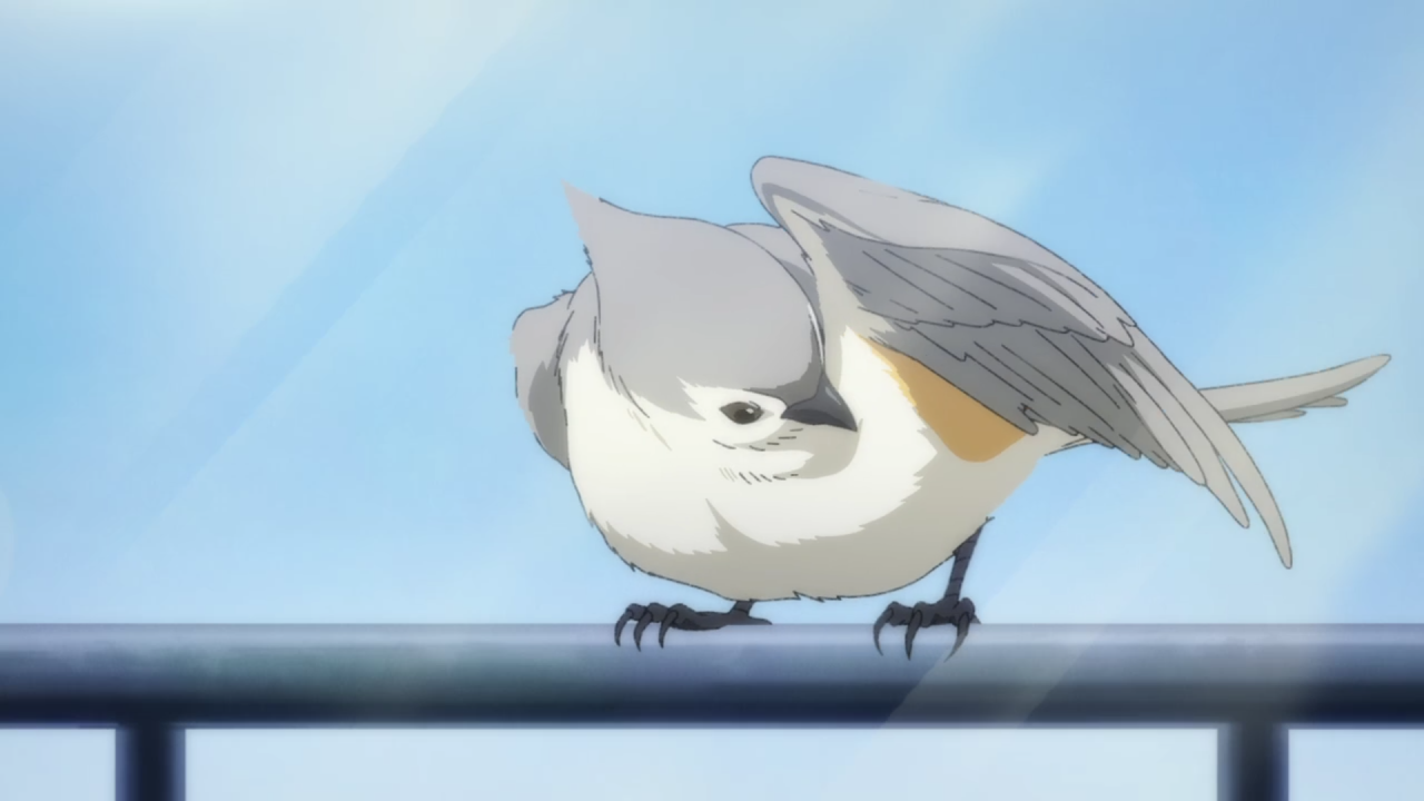 This NEW Anime's about a SUPERNATURAL Bird 😳🤯 #anime #newanime #anim... |  TikTok