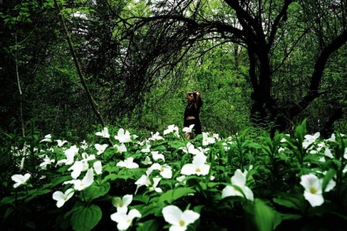 Adventuring to the trillium patch with my creature and tiny cat....