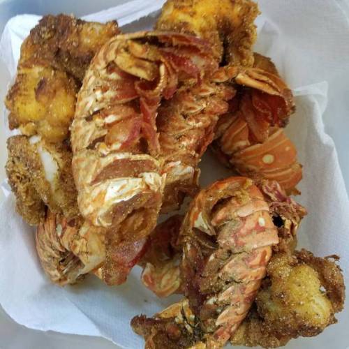 My first attempt at fried lobster tail. So far so good!!! (at...