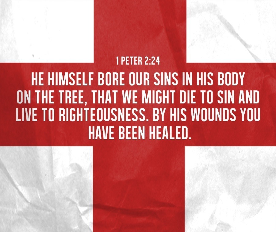 The Living Faithful in christ 1 Peter 2 24 ESV He the-living-faithful-in-christ-1-peter-2-24-esv-he