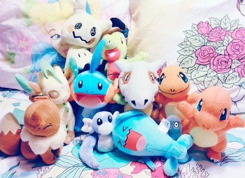 pinktwinklebear:All are thrifted except Mimikyu! And I somehow...