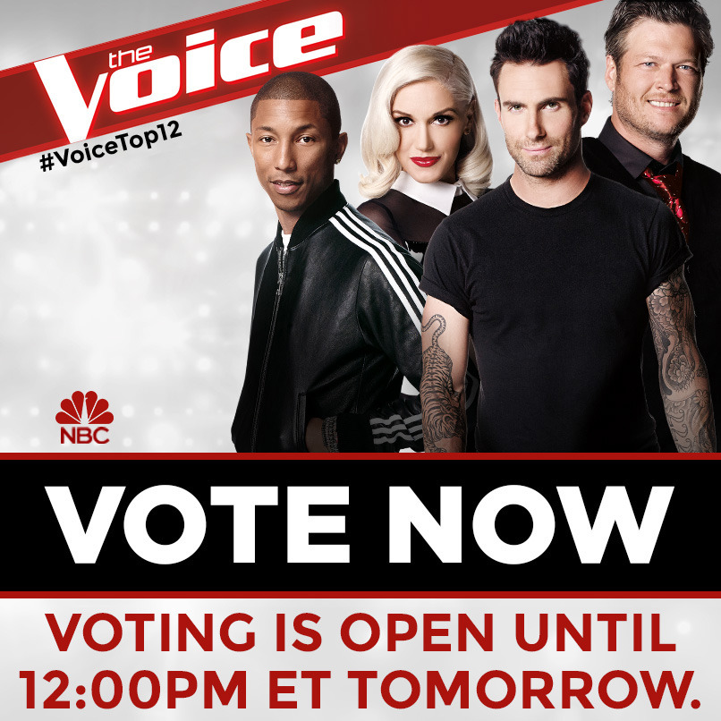 NBC's The Voice — GO VOTE!