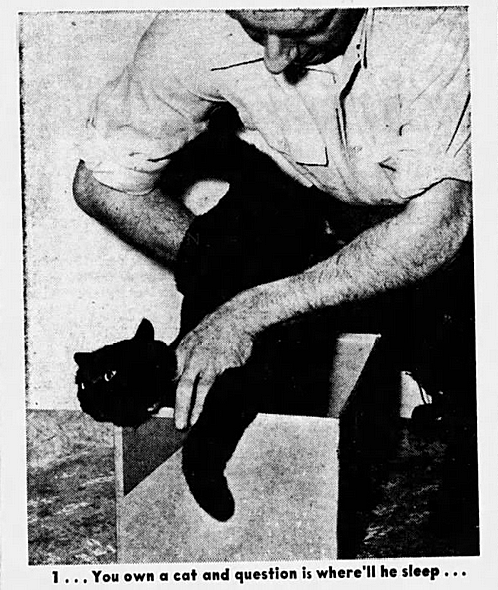 yesterdaysprint:The Miami News, Florida, August 5, 1951