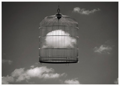 Búsqueda.
Y la jaula vacía, no resistiendo más la soledad, echó de repente a volar en desesperada busca de su pájaro…