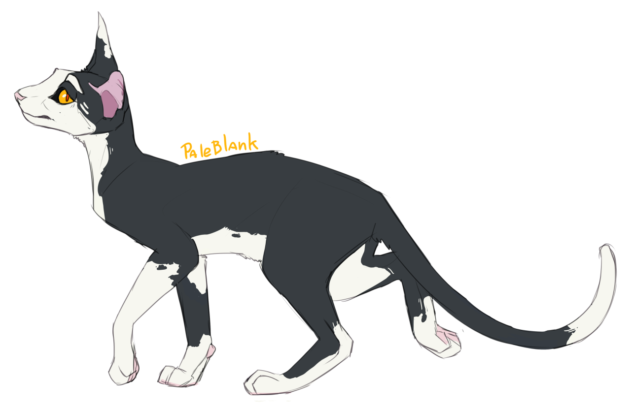 Shiny — 100 Warrior Cats Challenge Day 3: TALLSTAR