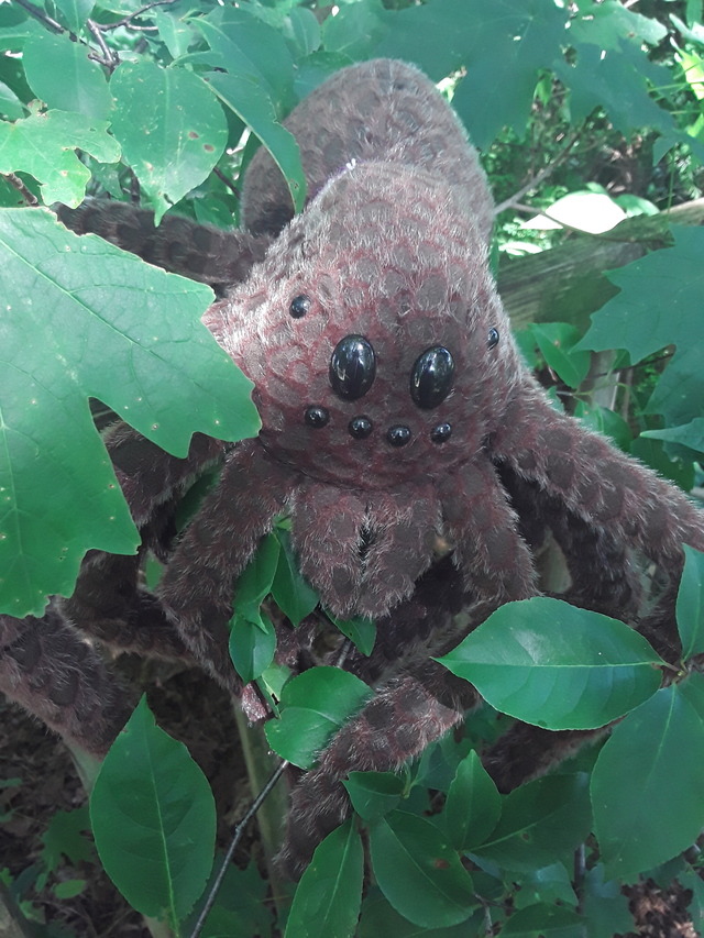 aragog figure