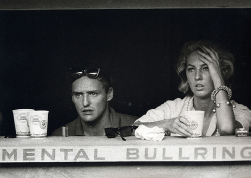 killerbeesting:Leigh Wiener, Mental Bullring, Dennis Hopper,...